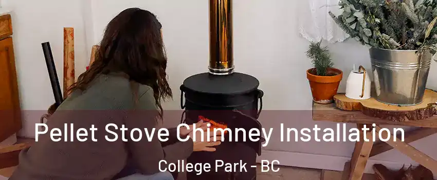  Pellet Stove Chimney Installation College Park - BC