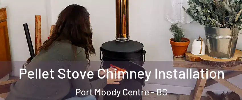  Pellet Stove Chimney Installation Port Moody Centre - BC