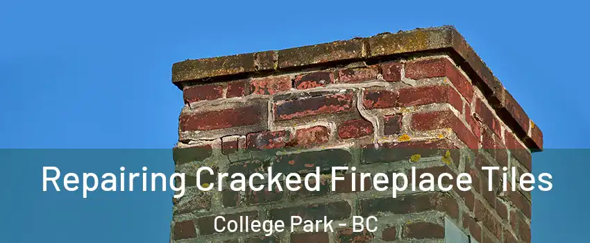  Repairing Cracked Fireplace Tiles College Park - BC