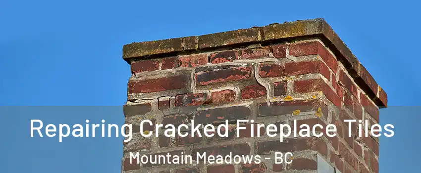  Repairing Cracked Fireplace Tiles Mountain Meadows - BC
