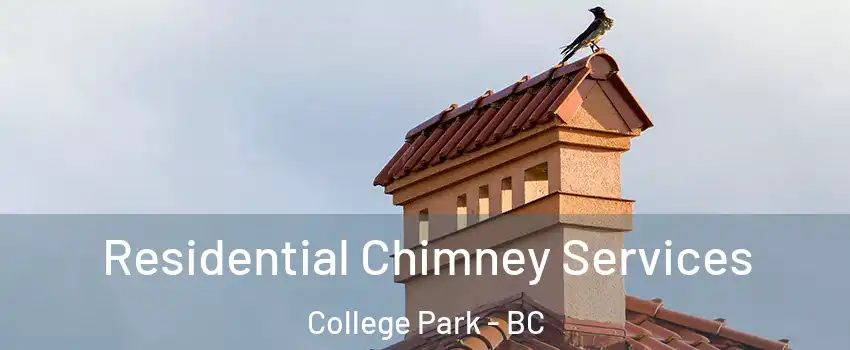  Residential Chimney Services College Park - BC