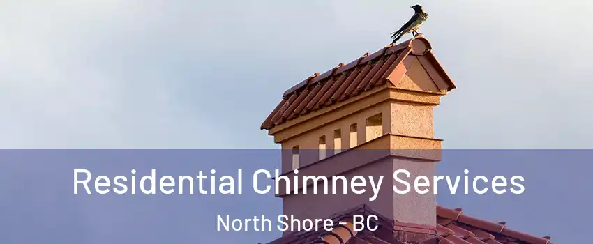  Residential Chimney Services North Shore - BC