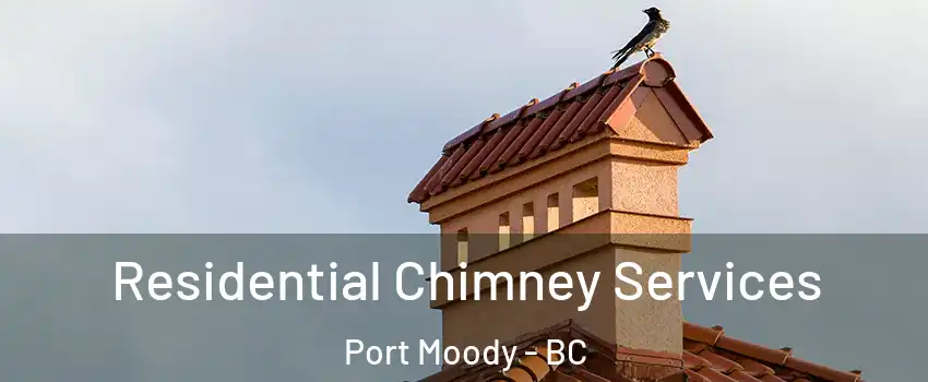  Residential Chimney Services Port Moody - BC