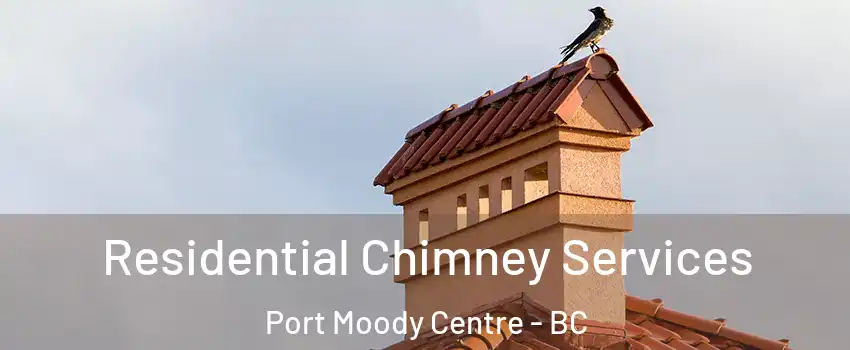  Residential Chimney Services Port Moody Centre - BC