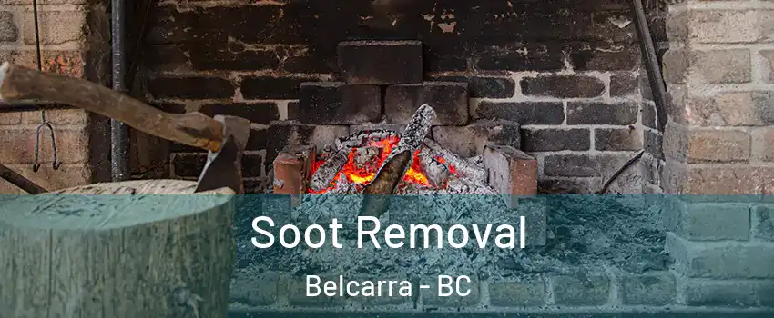  Soot Removal Belcarra - BC