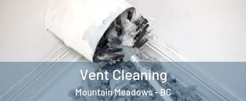  Vent Cleaning Mountain Meadows - BC