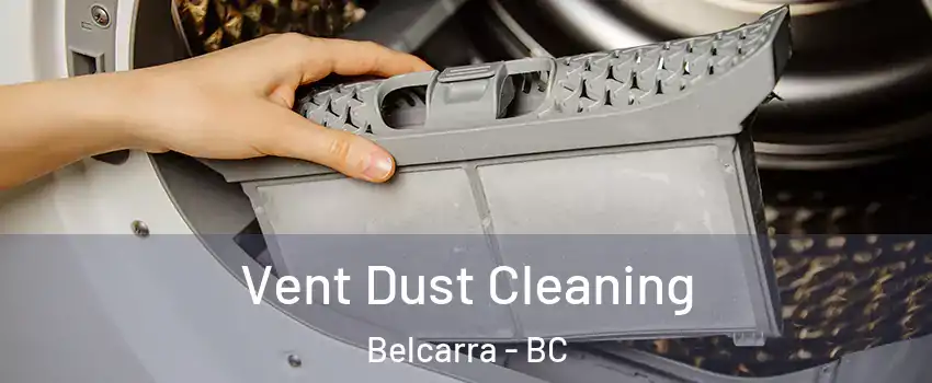  Vent Dust Cleaning Belcarra - BC