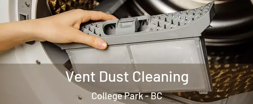  Vent Dust Cleaning College Park - BC