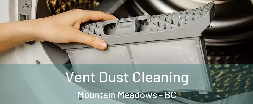  Vent Dust Cleaning Mountain Meadows - BC