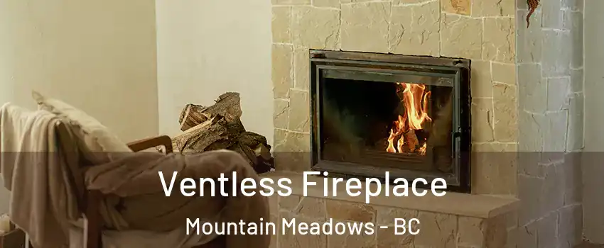  Ventless Fireplace Mountain Meadows - BC