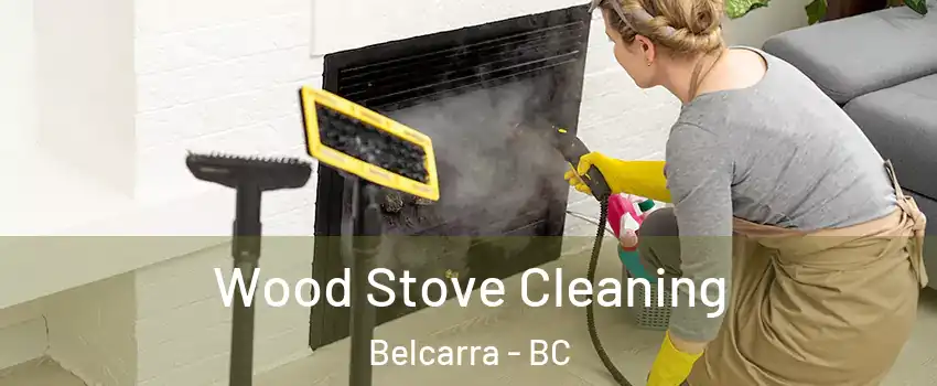  Wood Stove Cleaning Belcarra - BC