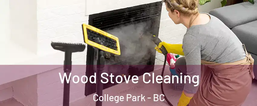  Wood Stove Cleaning College Park - BC