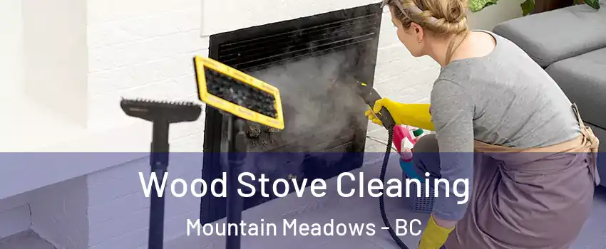  Wood Stove Cleaning Mountain Meadows - BC