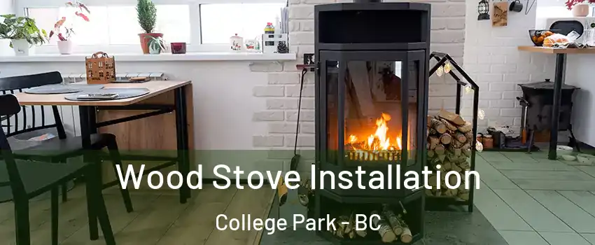  Wood Stove Installation College Park - BC