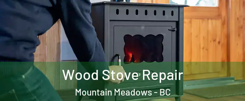  Wood Stove Repair Mountain Meadows - BC
